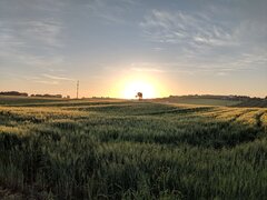 IMG_20190430_064542.jpg