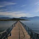 tzimasrm