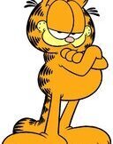garfiel