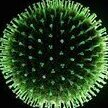 Virus_X