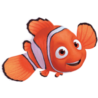 nemo1971