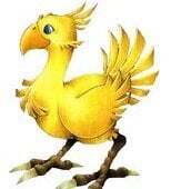 Chocobo