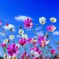 CRISTI_M