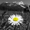 Sterben_