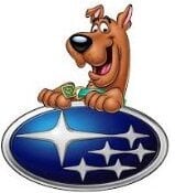 subarus-14