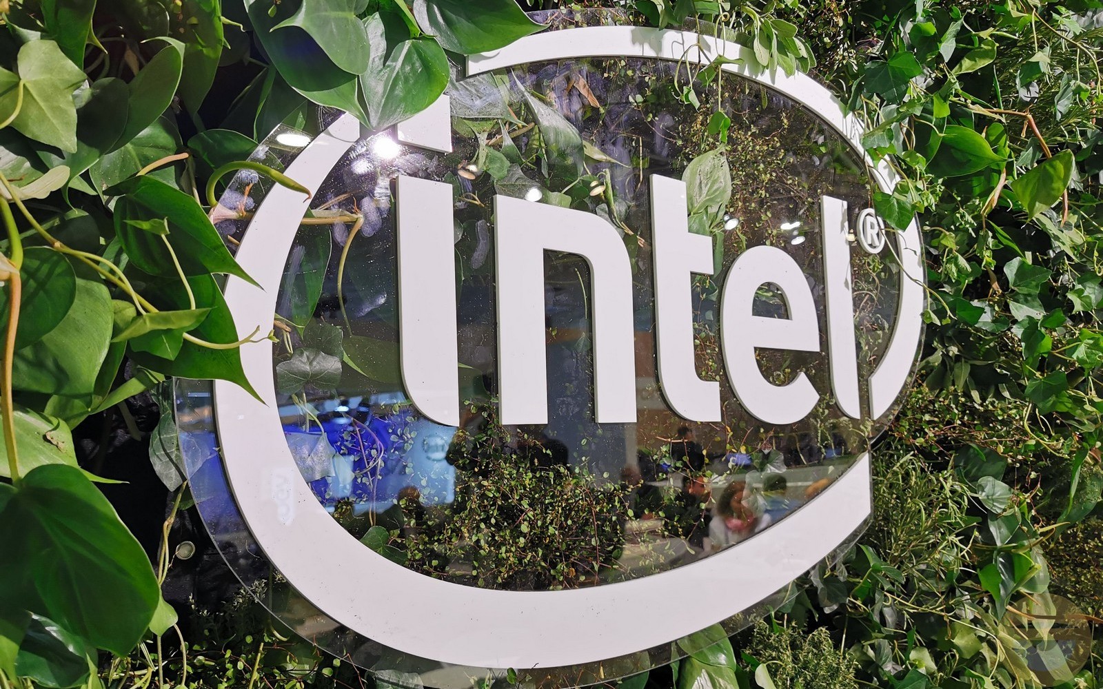 Οι νέες desktop GPU της Intel δεν λειτουργούν σε συστήματα με AMD επεξεργαστή