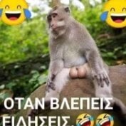 Erpeto66