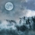 TechSomnia