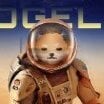 DogElon