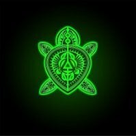 Tortugas