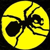 spider14