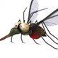 zoid_gr