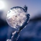 IceFLoWeR