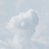 Scraft