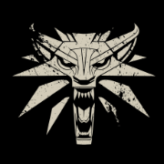 Witcher1st