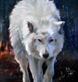 DirewolfGR