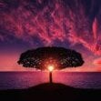 Kosmas1013
