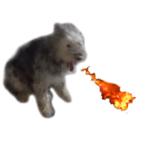 MisterMistake