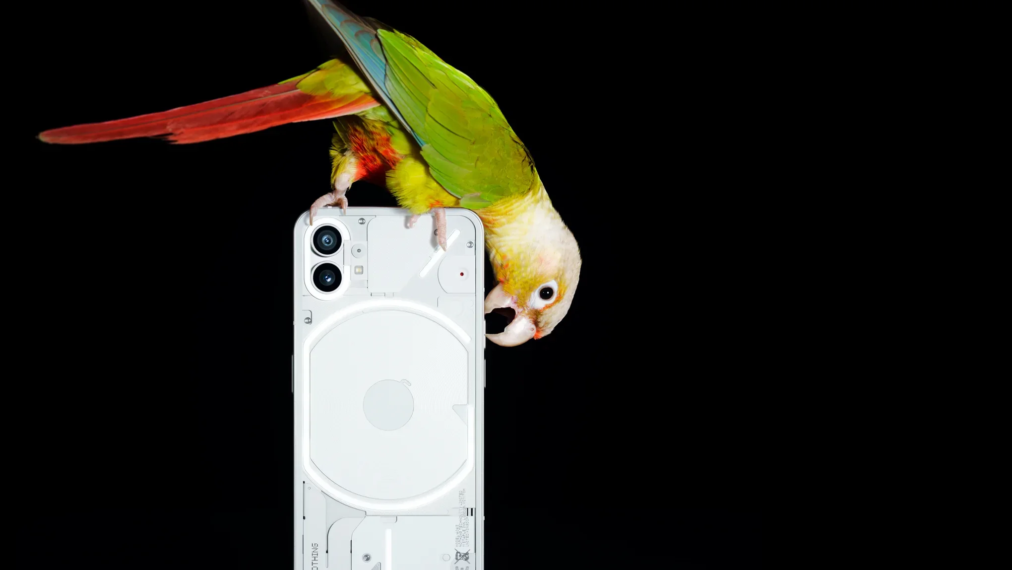 Το NOTHING Phone (1) έχει «διάφανη» πλάτη με φωτιζόμενα στοιχεία