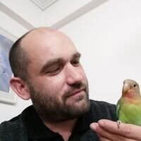 nickskarv