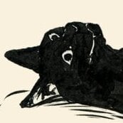 Jarisk