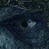 hammerd