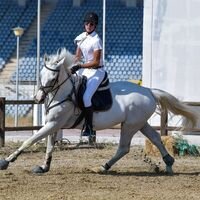 Soldatos91