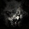 Dark_Nightfall