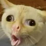 Minaspik