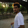 Nip2007