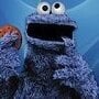 Teddy77