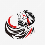 BrightVision
