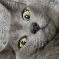 MaryJen