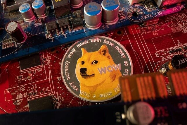 Η Καμπόσου, το σκυλί που ενέπνευσε το "Doge" meme και εξελίχτηκε στο πρόσωπο του Dogecoin, δεν ζει πλέον