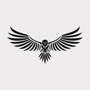 SilverFly