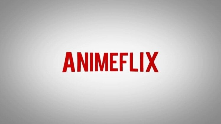 Η ACE κλείνει τον δημοφιλή ιστότοπο παράνομου anime, ANIMEFLIX