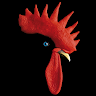 PetiGeo