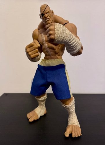 Περισσότερες πληροφορίες για "Sagat - Street Fighter"