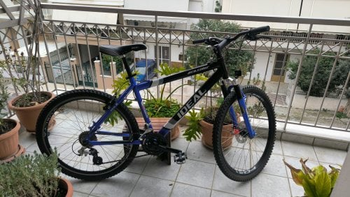 Περισσότερες πληροφορίες για "Ideal pro rider"