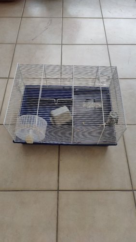 Περισσότερες πληροφορίες για "Κλουβί για χάμστερ"
