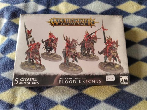 Περισσότερες πληροφορίες για "Soulblight Gravelords Blood Knighs"