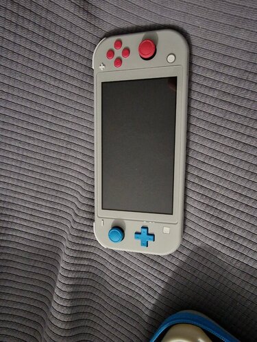 Περισσότερες πληροφορίες για "Nintendo Switch Lite Zacian & Zamazenta Edition+orzly kit"