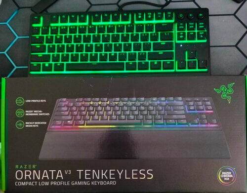 Περισσότερες πληροφορίες για "Razer ornata v3 tenkeyless"