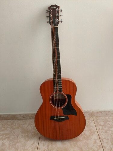 Περισσότερες πληροφορίες για "Taylor GS Mini"