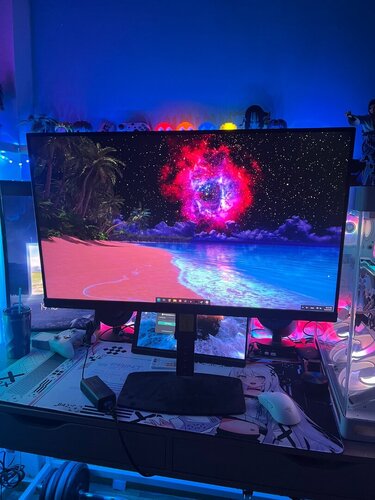 Περισσότερες πληροφορίες για "MSI G321Q IPS Gaming Monitor 31.5" QHD 2560x1440 170Hz"