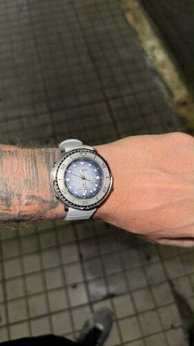 Περισσότερες πληροφορίες για "Seiko tuna save the ocean new Ανταλλαγή δεκτή"