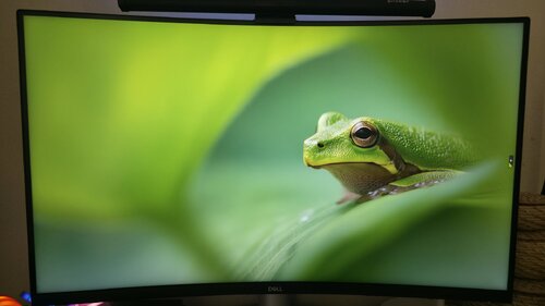 Περισσότερες πληροφορίες για "DELL S Series S3221QSA (31.5"/4K Ultra HD)"