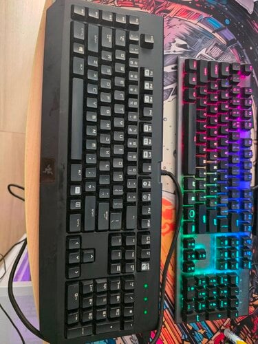 Περισσότερες πληροφορίες για "Razer blackwidow, Razer Ouroboros, CoolerMaster CK550"