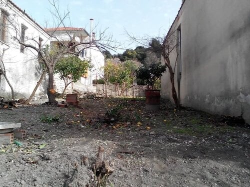 Περισσότερες πληροφορίες για "Οικόπεδο 240 τ.μ. στην Αγία Παρασκευή Χαλκιδικής (πρώτο πόδι) - ΚΕΝΤΡΟ θέα θάλασσα - ΣΔ 0,8"