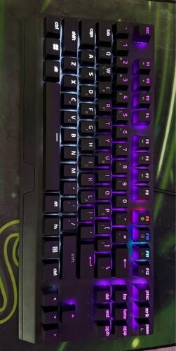 Περισσότερες πληροφορίες για "Razer Keyboard Blackwidow V3 tenkeyless"